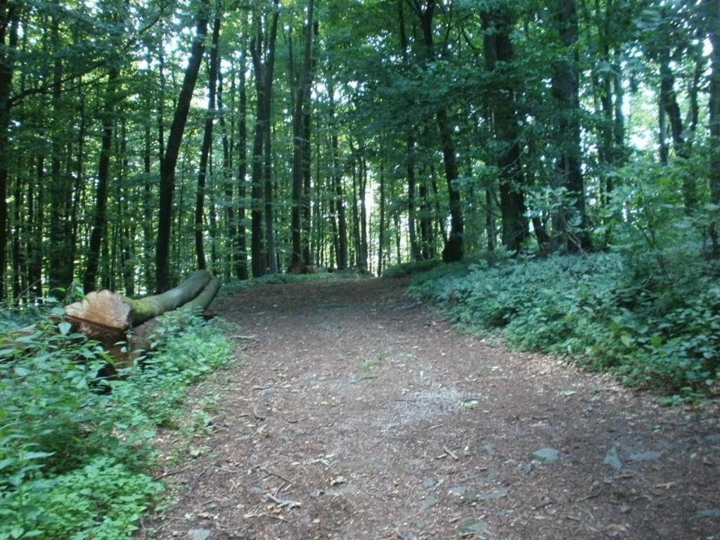 Ferienwohnung Irmgard Und Ferienwohnung Gerlinde Waldbrunn  エクステリア 写真