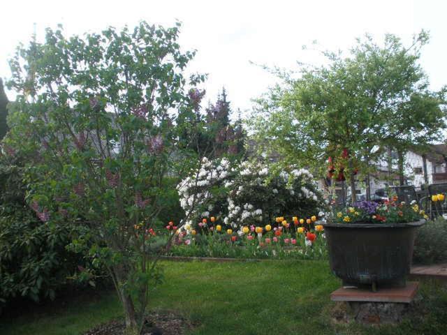 Ferienwohnung Irmgard Und Ferienwohnung Gerlinde Waldbrunn  エクステリア 写真