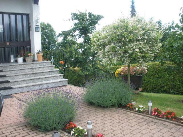 Ferienwohnung Irmgard Und Ferienwohnung Gerlinde Waldbrunn  エクステリア 写真